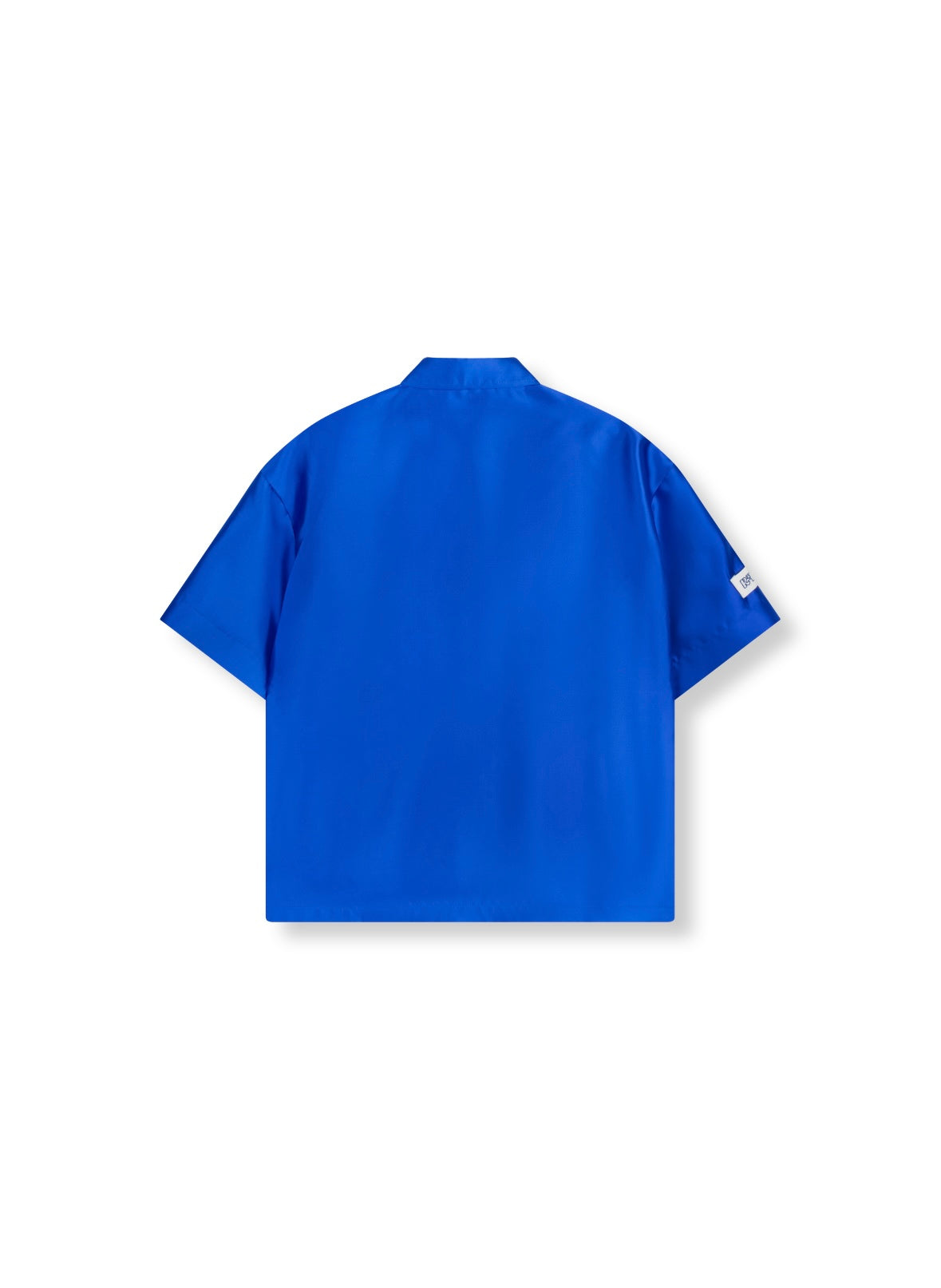 Shiny blouse ALANA - Refined Department